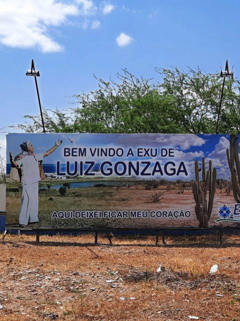 Matrizes Tradicionais do Forró