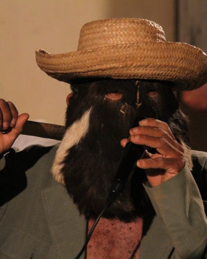 Figura do Cavalo Marinho Boi Tira Teima