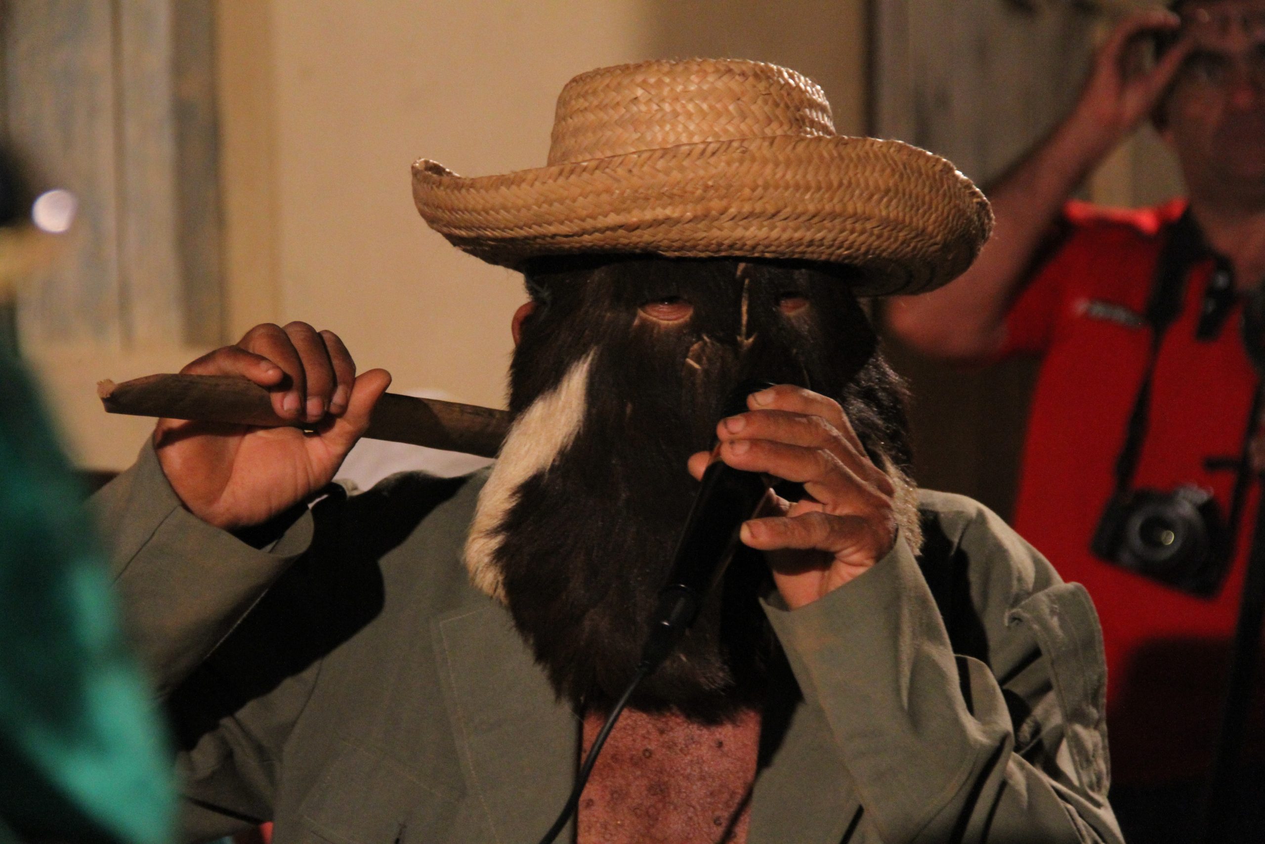 Figura do Cavalo Marinho Boi Tira Teima